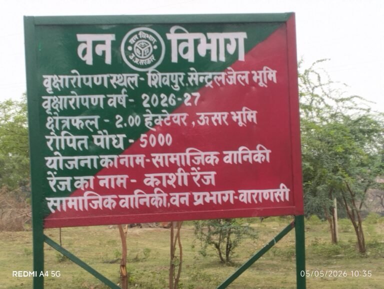 वाराणसी मान्यवर कांशीराम आवास कोईलाहवा जंगल के  लकड़ीयो को काटकर बनाया जा रहा है धन उगाई की जरिया